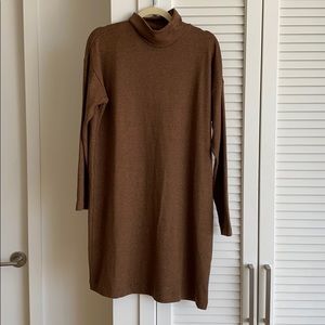 Brown Sweater Dress